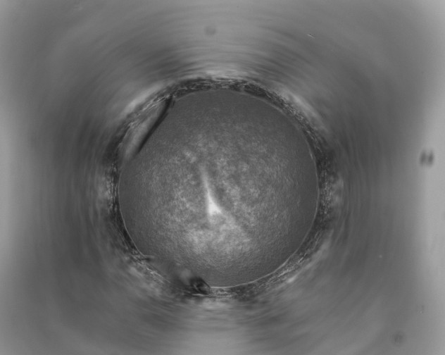 X0000091011110200708091555