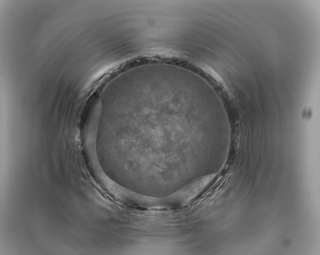 X0000091011112200708091555
