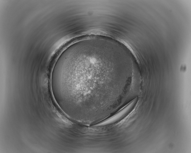X0000091011115200708091555