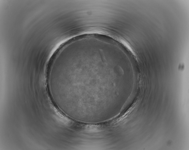 X0000091011116200708091555