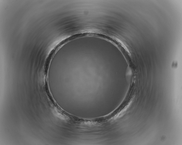X0000091011117200708091555