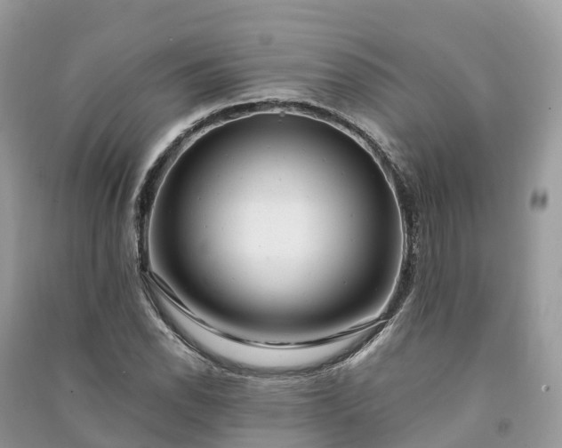 X0000091011118200708091555