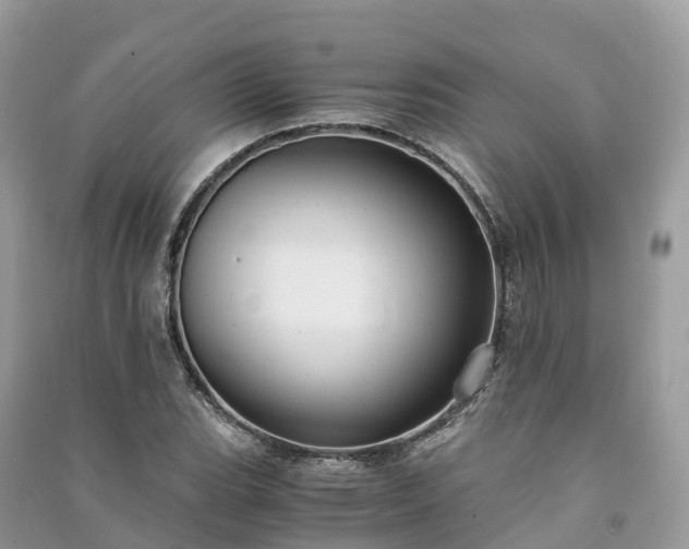 X0000091011119200708091555