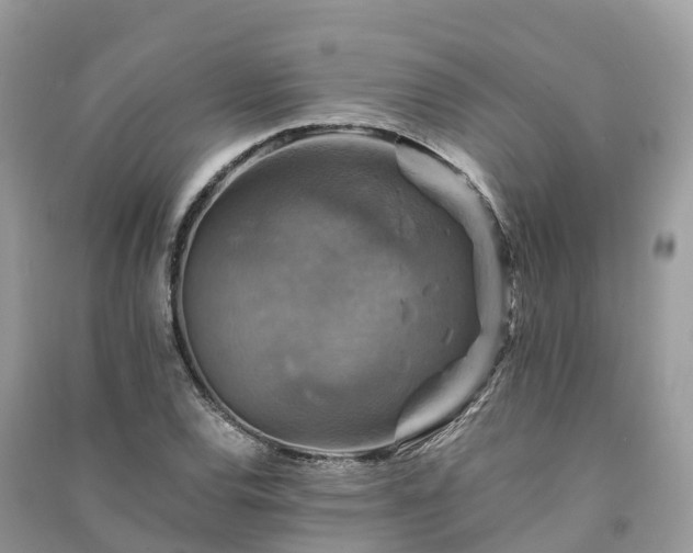 X0000091011120200708091555