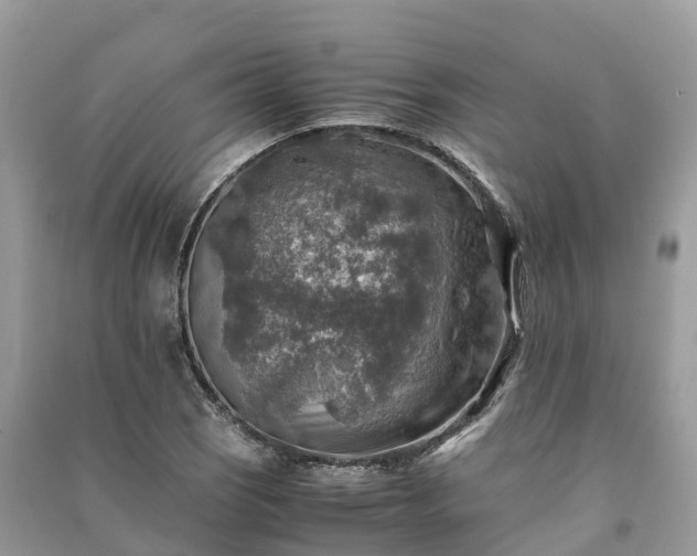 X0000091011121200708091555