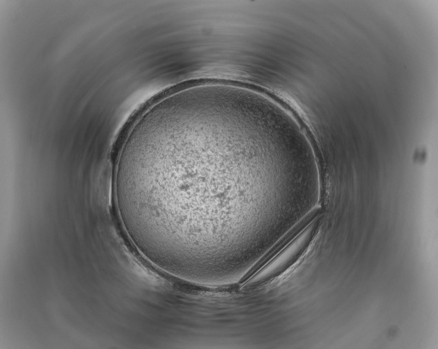 X0000091011123200708091555
