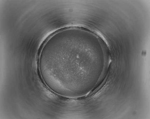 X0000091011124200708091555