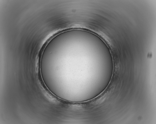 X0000091011126200708091556