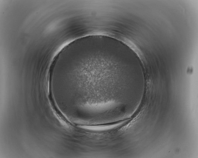X0000091011127200708091556