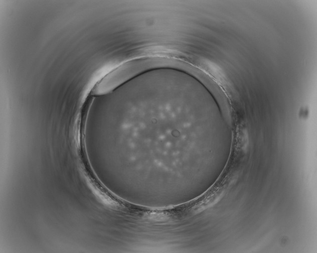 X0000091011128200708091556