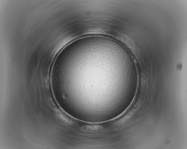 X0000091011129200708091556