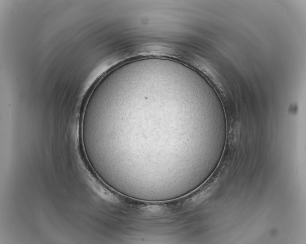 X0000091011130200708091556