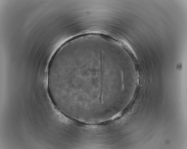 X0000091011132200708091556
