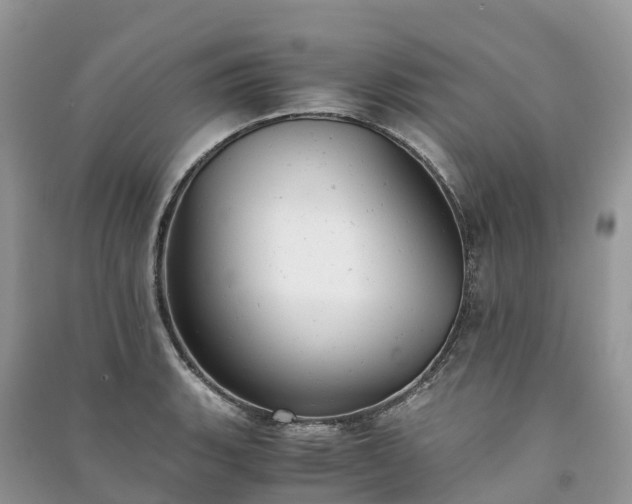 X0000091011135200708091556
