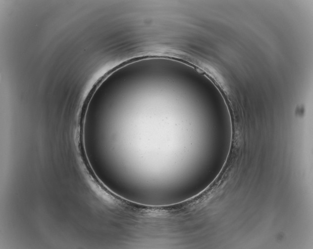X0000091011136200708091556