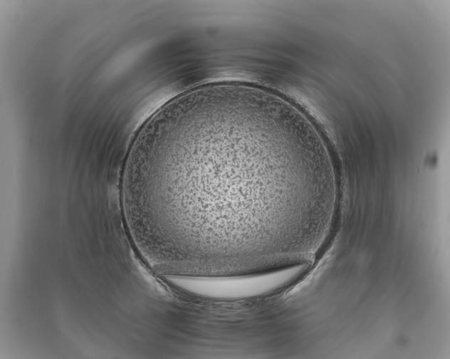 X0000091011137200708091556