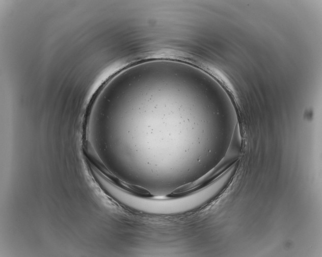 X0000091011138200708091556