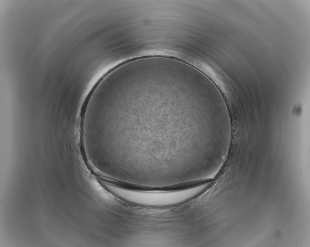 X0000091011140200708091556