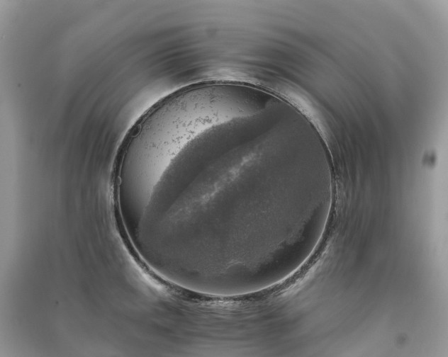 X0000091011141200708091556