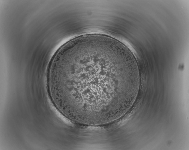 X0000091011142200708091556