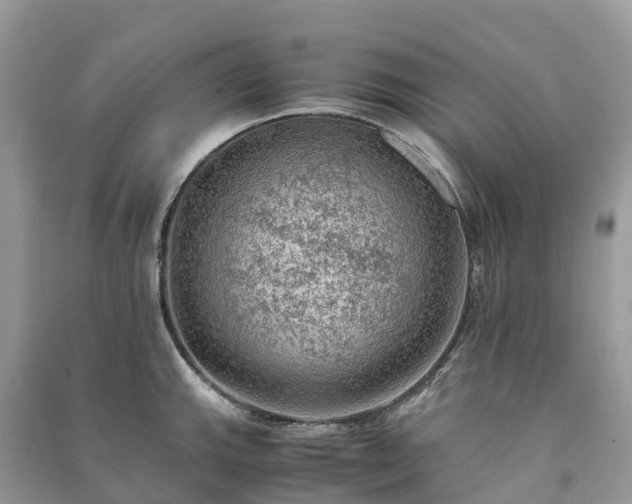 X0000091011143200708091556