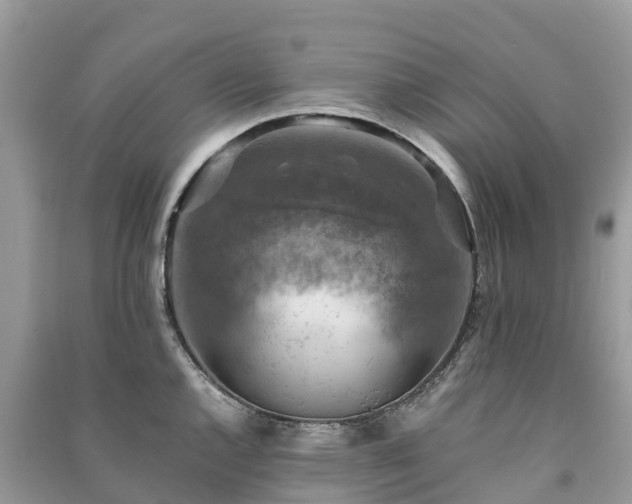 X0000091011144200708091556