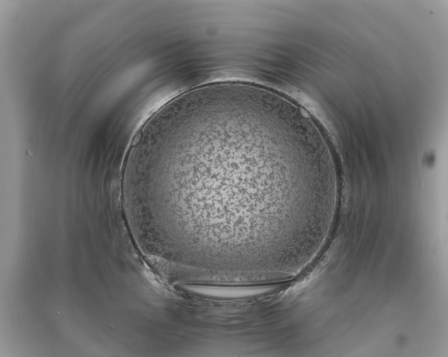 X0000091011145200708091556