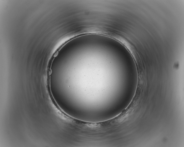 X0000091011147200708091556