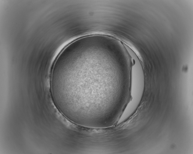X0000091011148200708091556