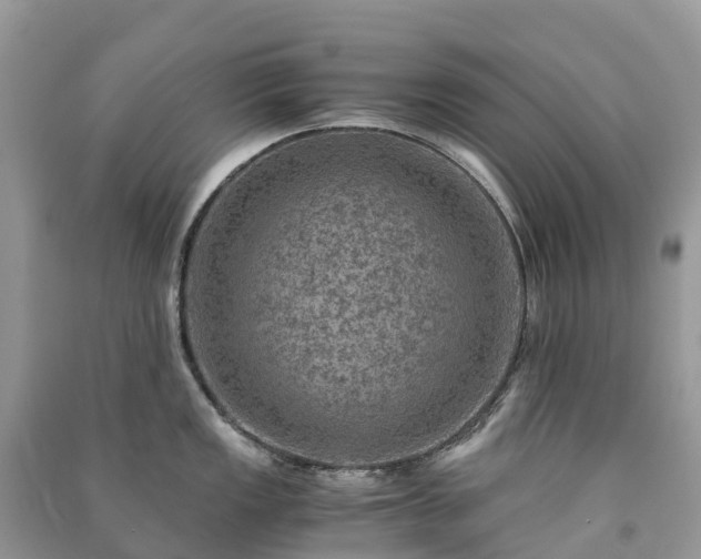 X0000091011149200708091556
