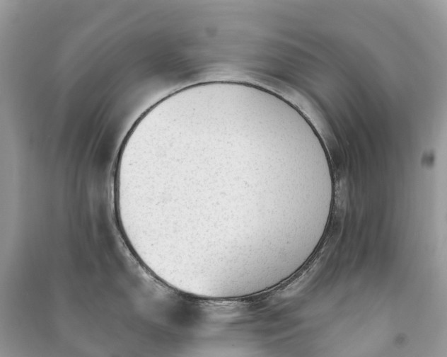 X0000091011150200708091556