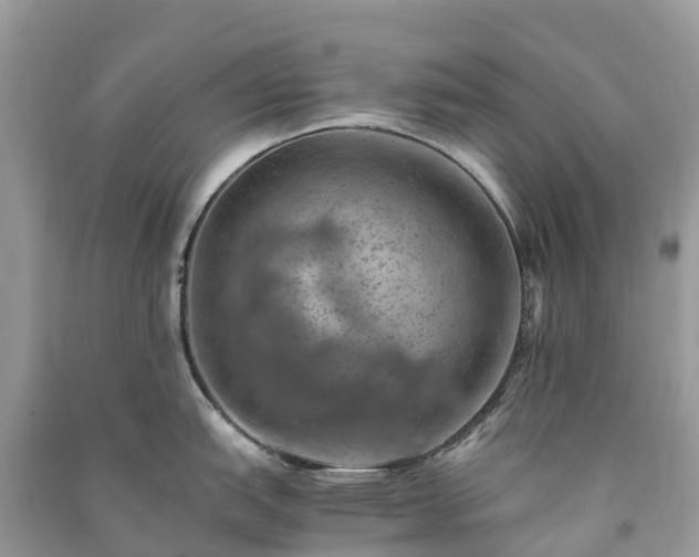 X0000091011151200708091556