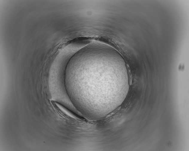 X0000091011153200708091555