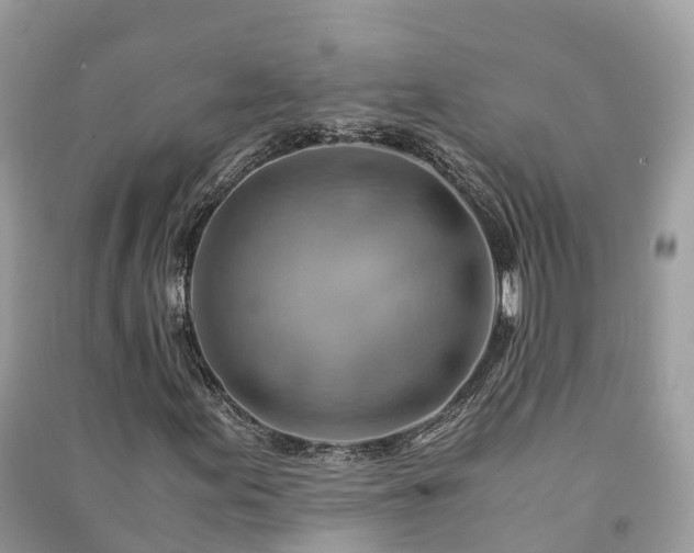 X0000091011155200708091555