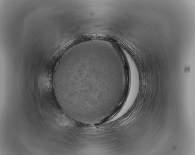 X0000091011156200708091555