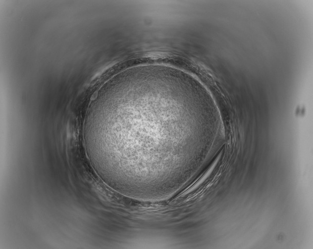 X0000091011158200708091555