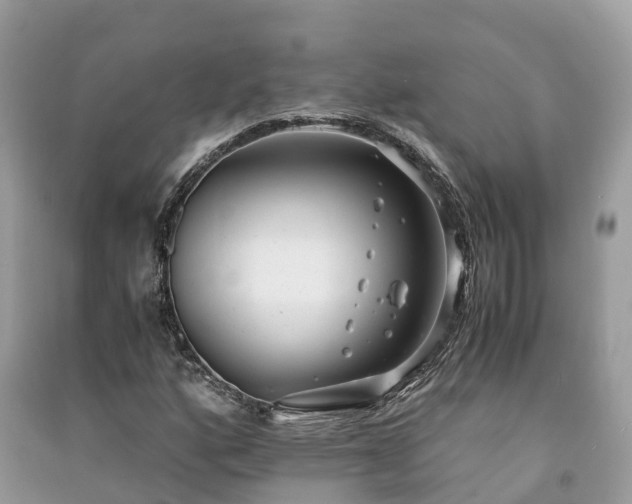 X0000091011160200708091555