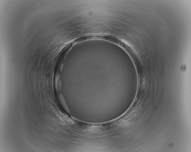 X0000091011161200708091555