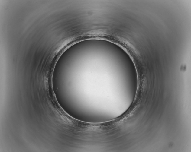 X0000091011162200708091555