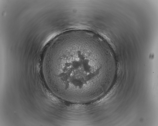 X0000091011163200708091555