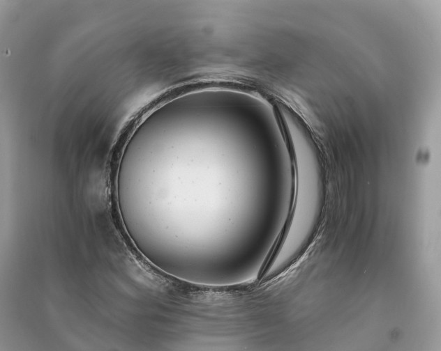 X0000091011164200708091555