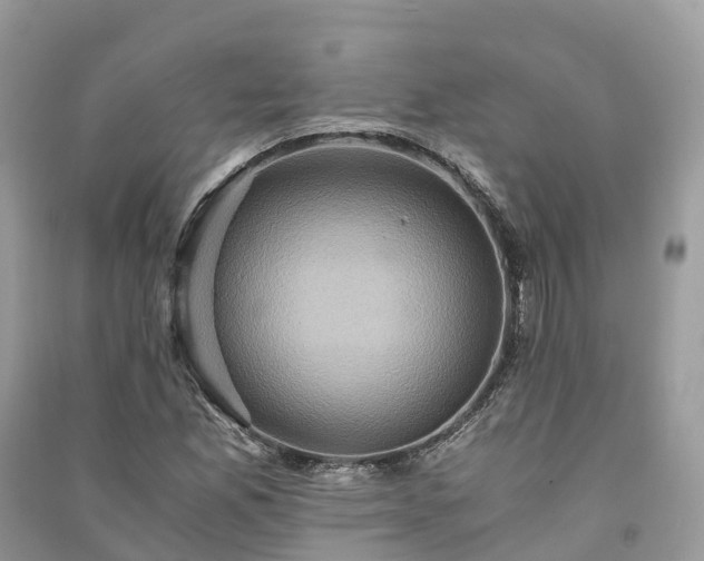 X0000091011165200708091555
