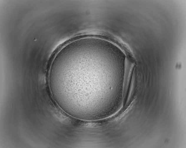 X0000091011166200708091555