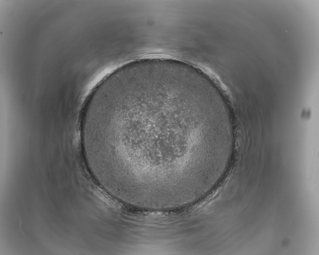 X0000091011167200708091555
