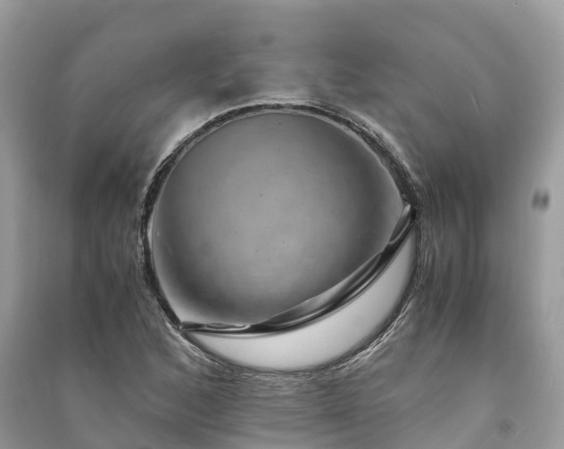 X0000091011168200708091555