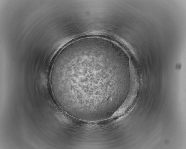 X0000091011170200708091555