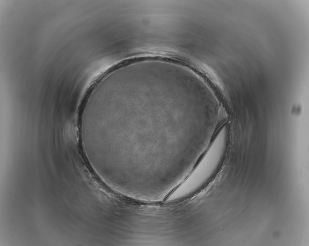 X0000091011172200708091555