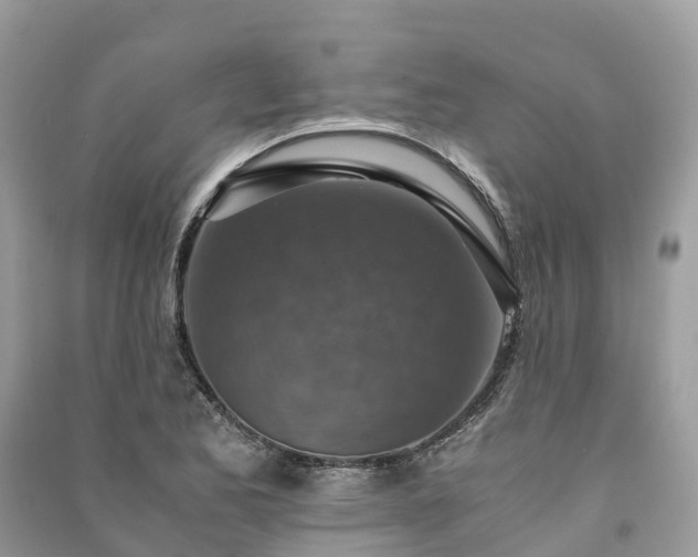 X0000091011173200708091555