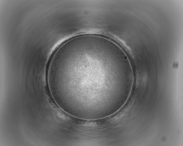 X0000091011174200708091555