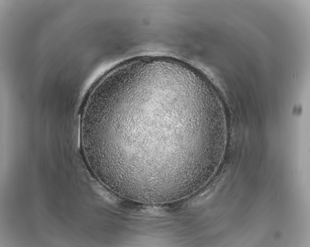 X0000091011175200708091555